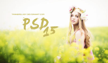 PSD #15