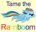 RainbowFlyer