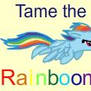 RainbowFlyer