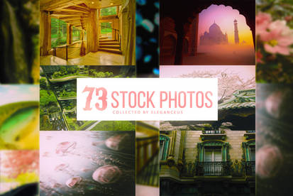 73 Stock Photos Pack
