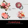 4 mixed png