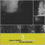 3 Foggy Forest Textures - TLR