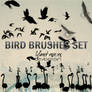 Bird brushes set