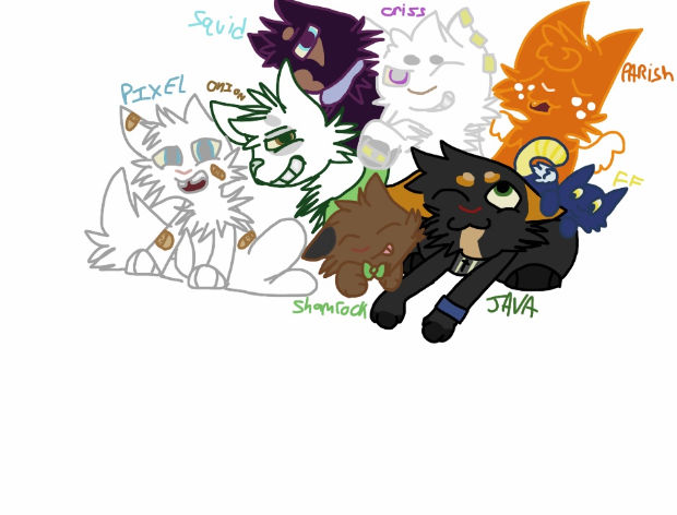 Cats OC's by Kitty8448 on DeviantArt