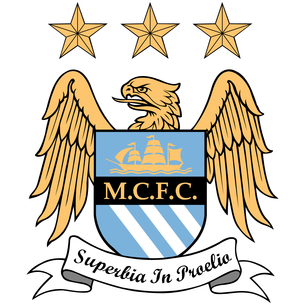 Manchester City FC PSD