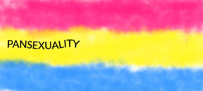 Pride Flag: The Pansexual Flag