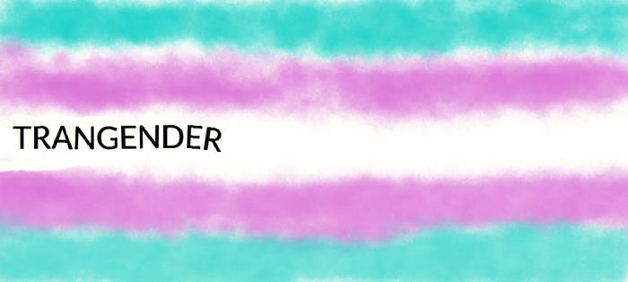 Pride Flag: The Transgender Flag