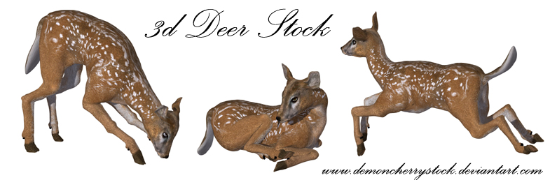 Deer PNG Stock