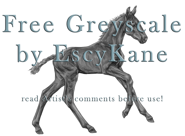 TIMELESS FREE GREYSCALE