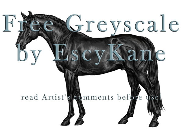 FREE Greyscale WB Stallion