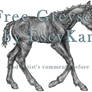 Free Greyscale foal