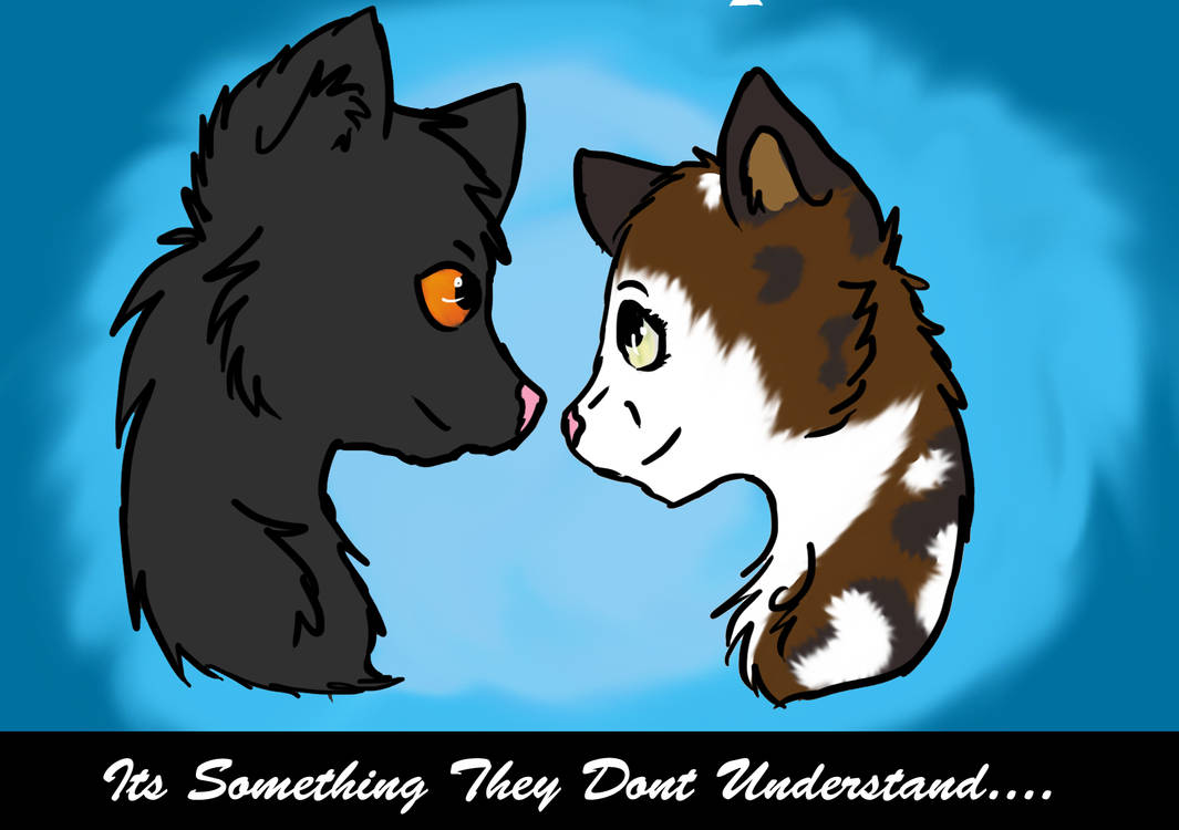 Raven and Dove by Beachygrl92 on DeviantArt