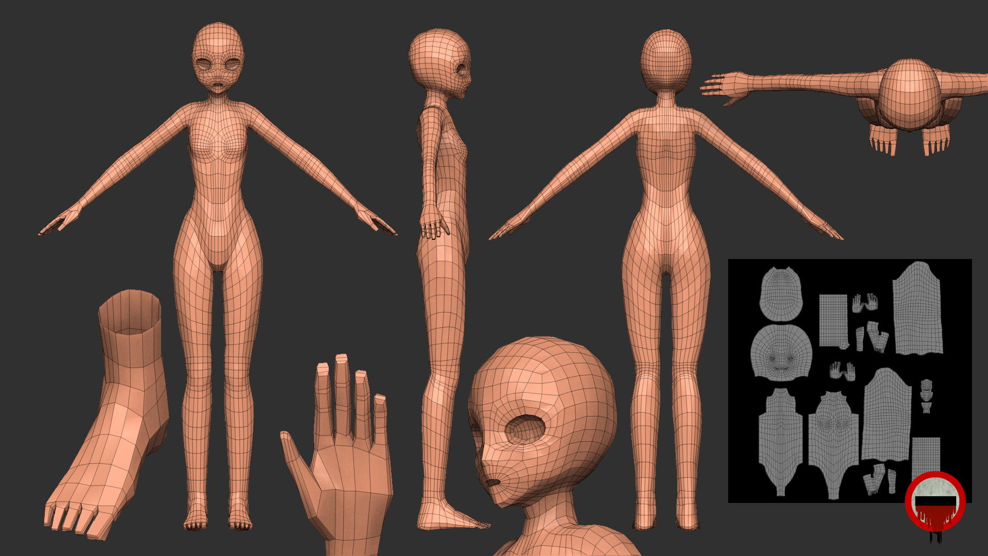 Free 3d anime character basemesh