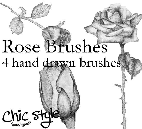 Hand Drawn Rose Brushes