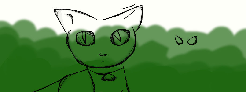 Into the Wild by warriorcatsluver13 on DeviantArt