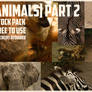 Animals: Stock Pack 2