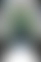 All Hallows Steve Event PSD