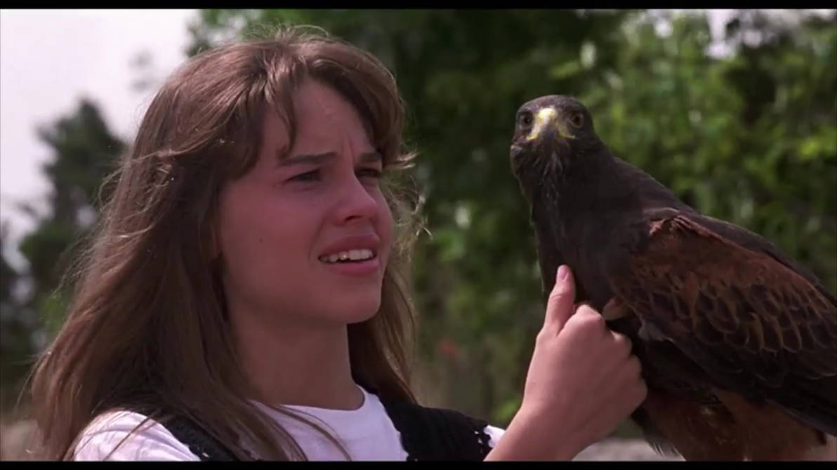 The Next Karate Kid Movie Clip 9 by FavoriteThings on DeviantArt