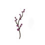 Cherry Blossom Twig -dl-