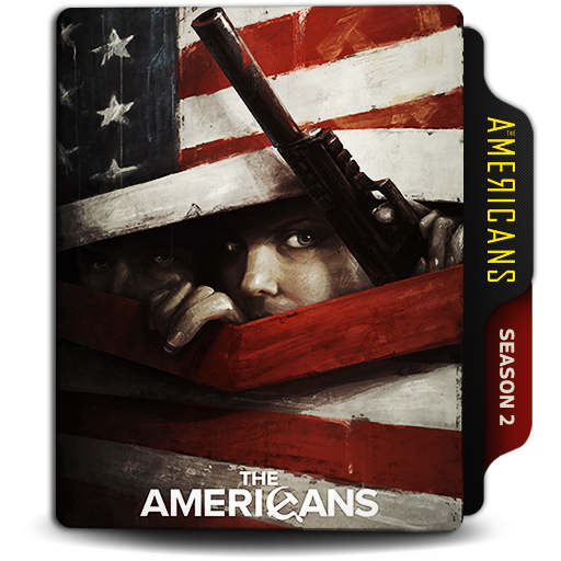 Americans visual data 2