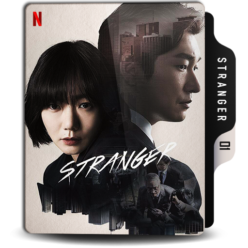 STRANGER TV SERIES 2017 2020 intelligence overview