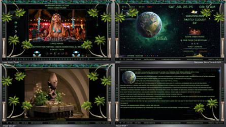 RISA v1.1.07.30.2025