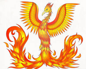 Photoshop Phoenix