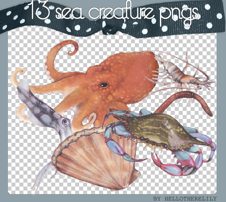 Sea Creature PNGS