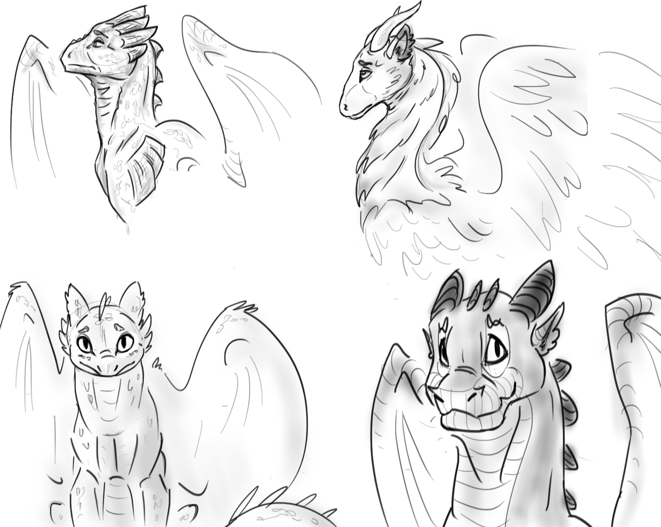 Dragon Doodles