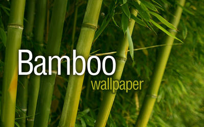 Bamboo Shoots