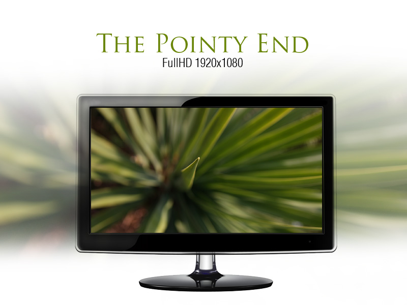 The Pointy End