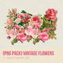[PNG PACK] Vintage Flowers by U-kari
