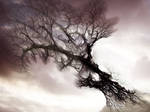Mystical Tree by Sya