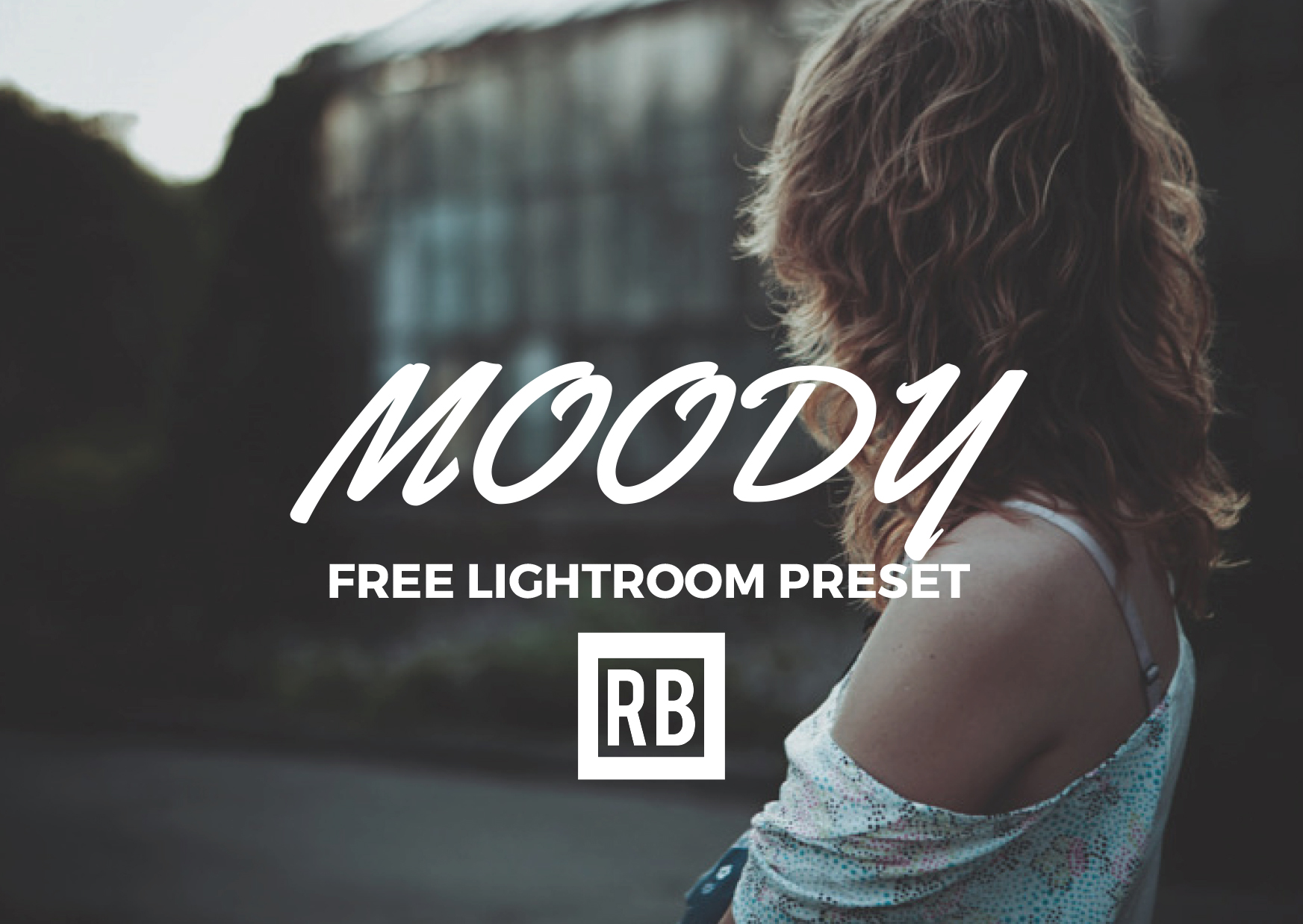 Free Lightroom Preset - Moody