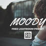 Free Lightroom Preset - Moody