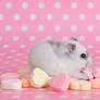 Wallpaper Herr Hildezart heart