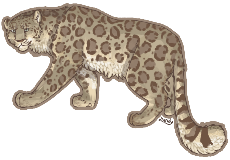 Snow Leopard Vector By Llandybie On Deviantart