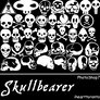 PS7-Skullbearer brushes