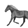 Free Horse Grayscale