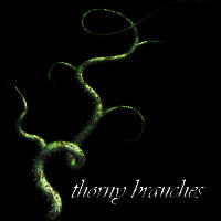 Thorny Branches