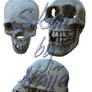 skull front