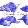 Seashell Photoshop-brushes