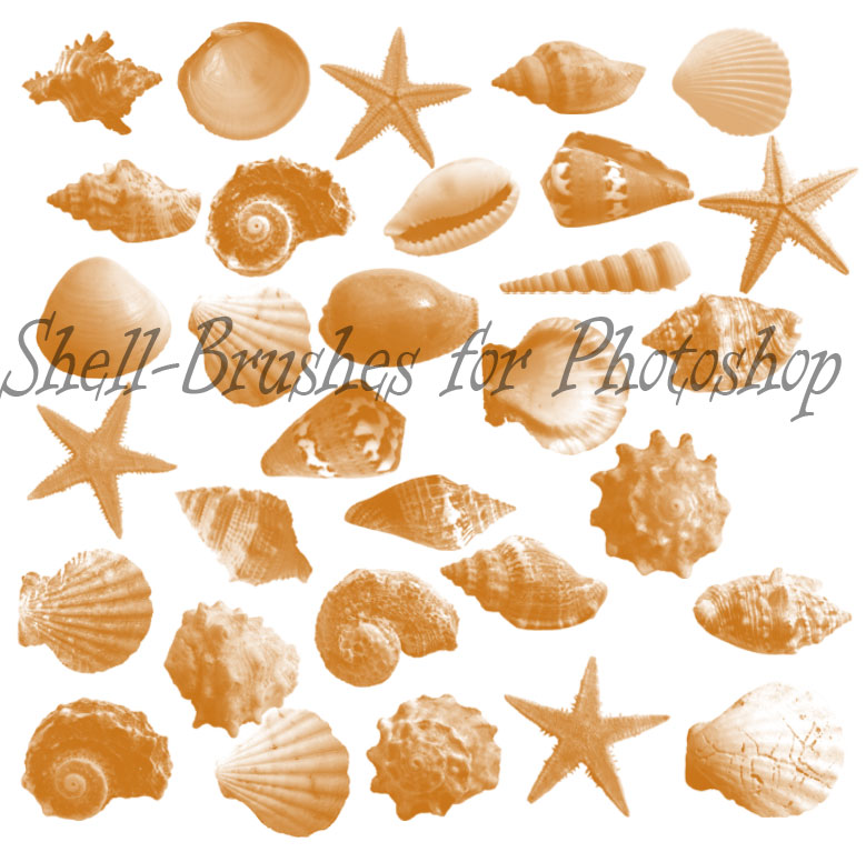 shell-brushes