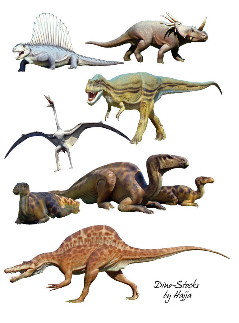 Dino Stock By Aswad Hajja On Deviantart