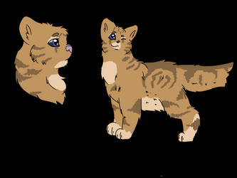 Persian/American shorthair mix adopt (Auction)