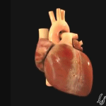picgif heavy heart animated picgif heavy heart animated