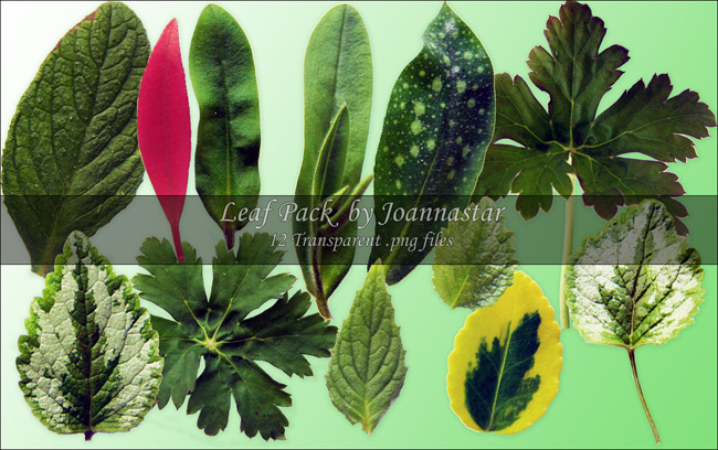 Leaf Pack by joannastar-stock on DeviantArt