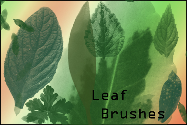 Leaf Brushes by joannastar-stock