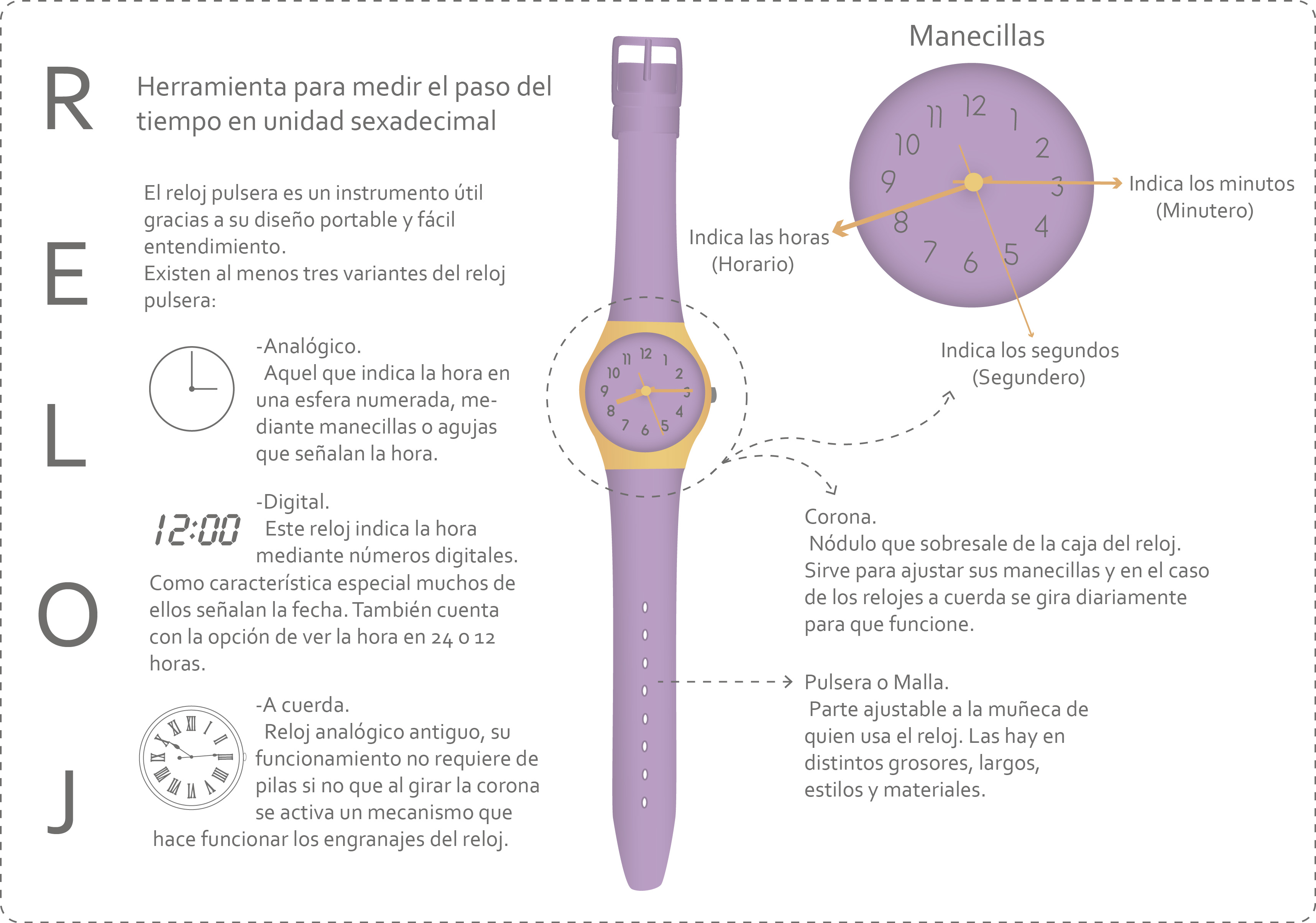 Cuáles son las partes de un reloj de pulsera - Relojesmanía ®