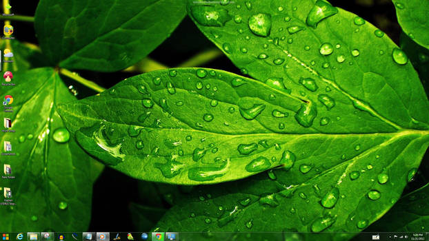 Green Windows Theme